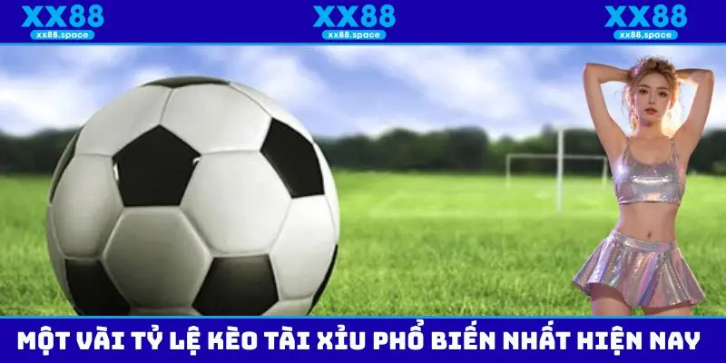 Tổng hợp những tỷ lệ kèo tài xỉu phổ biến hàng đầu